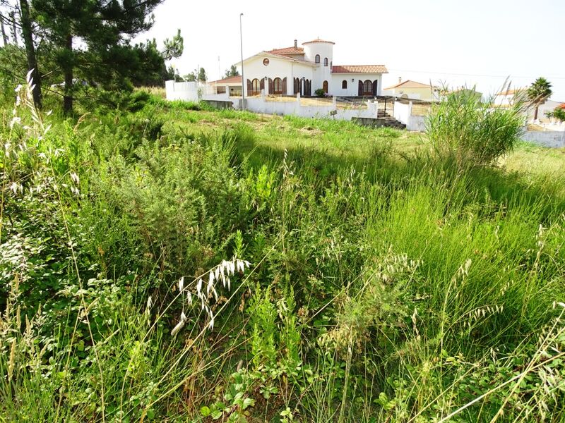 Terreno Urbano com 290m2 Gaeiras Óbidos