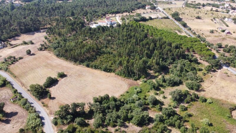 Plot of land for construction Pontével Cartaxo