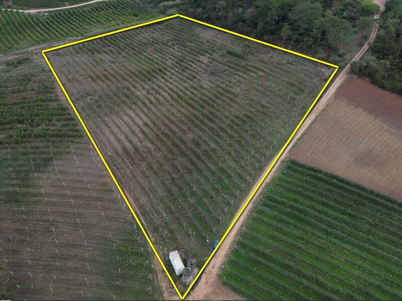 Land Agricultural with 21420sqm Carvalhal Benfeito Caldas da Rainha - electricity, water hole, water