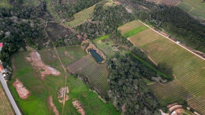 земля загородный c 278000m2 A dos Negros Óbidos - отличный подъезд, sobreiros, вода, колодец