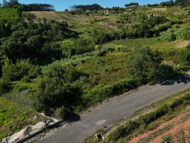 Terreno Rústico com 10101m2 Vidais Caldas da Rainha