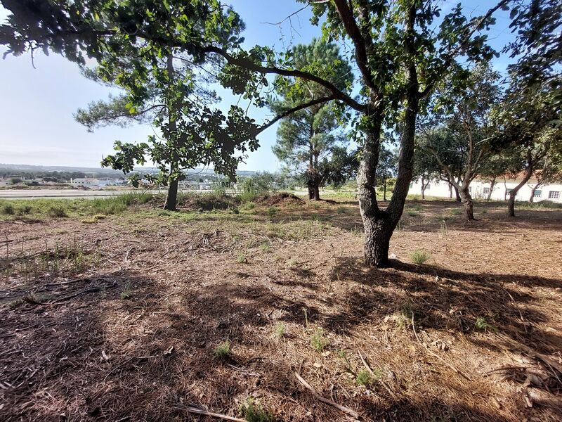 Terreno Rústico com 4148m2 Tornada Caldas da Rainha - sobreiros