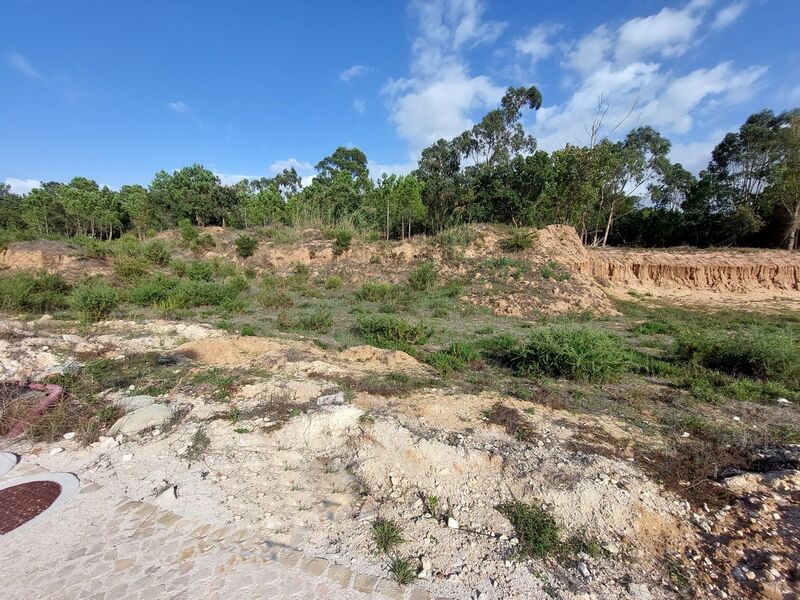 Terreno Rústico com 6946m2 Tornada Caldas da Rainha - sobreiros