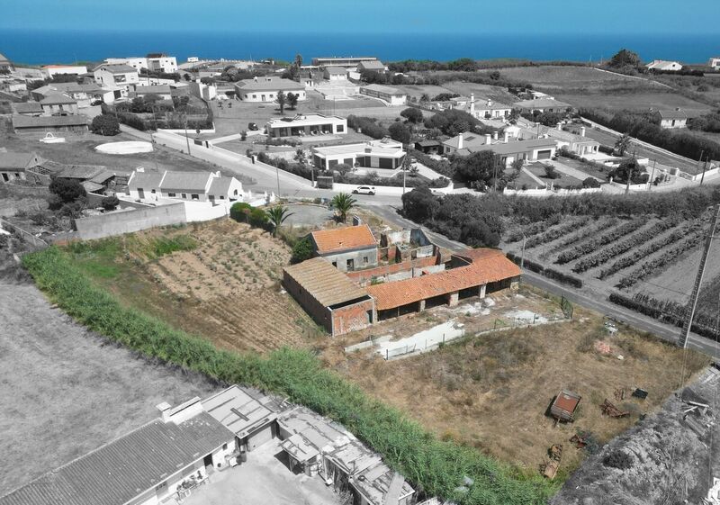 House Old to recover Boavista Caldas da Rainha