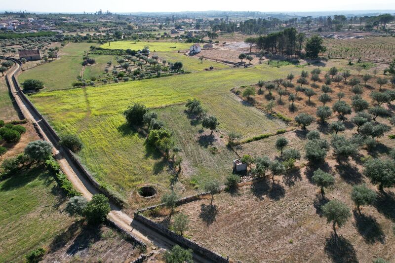 Quinta bem localizada Seia para venda - tanque, poço, árvores de fruto, água