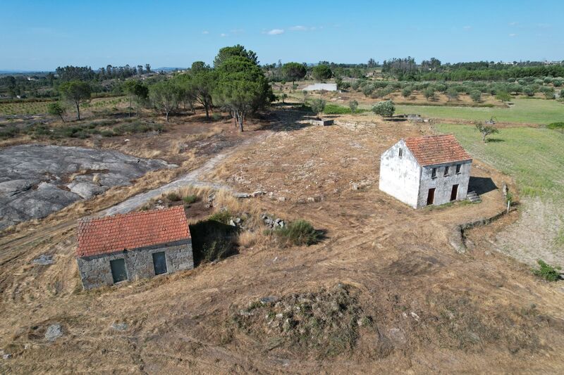 Farm well located Seia - tank, well, fruit trees, water