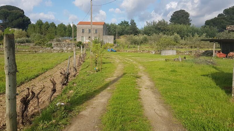 Farm V2 Gouveia - water, water hole, olive trees, well