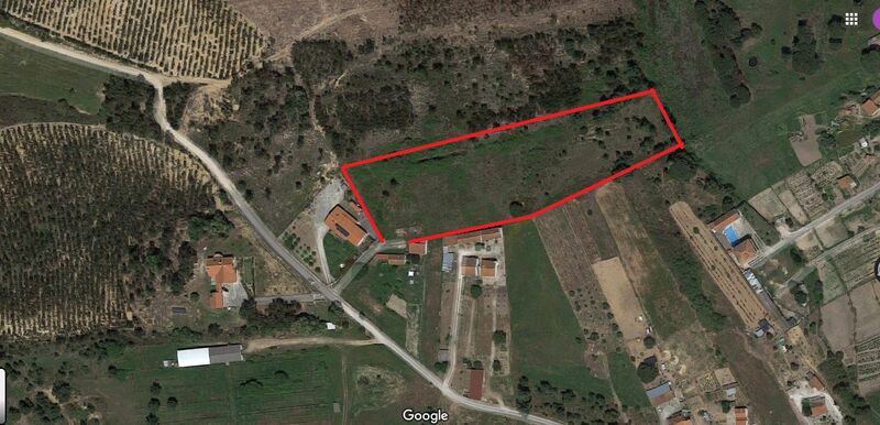 Land with 26240sqm Azambuja - water, well, electricity