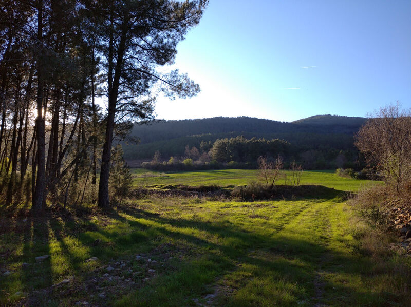 Terreno novo com 25985m2 Valhelhas Guarda - electricidade, bons acessos, água, árvores de fruto