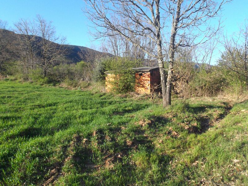 Land new with 25985sqm Valhelhas Guarda - electricity, easy access, water, fruit trees