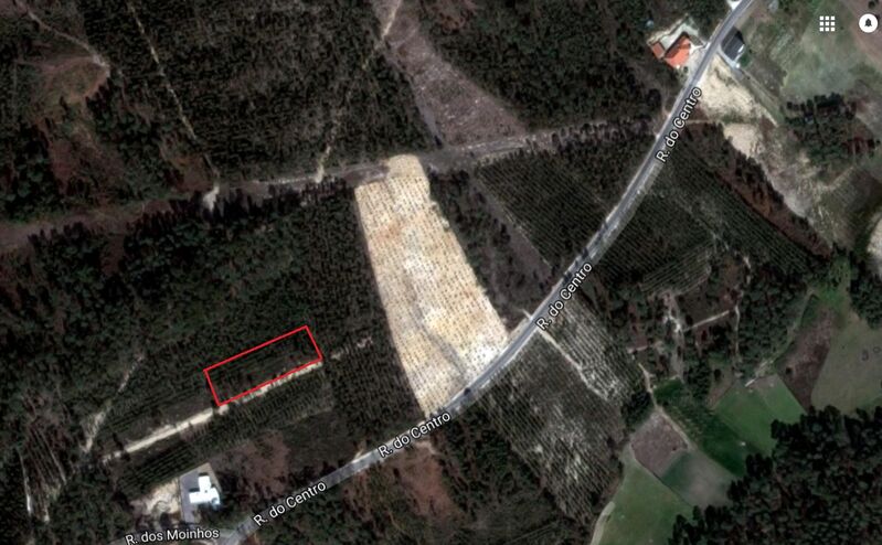 Land with 1840sqm Ourém