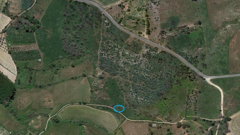 Land Rustic with 3600sqm Gouveia