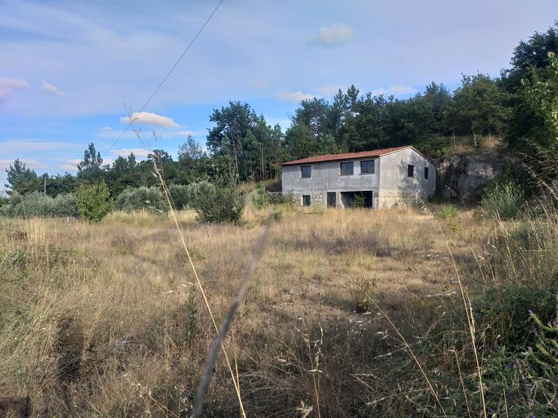 Terreno Agrícola com 4000m2 Mangualde - barracão