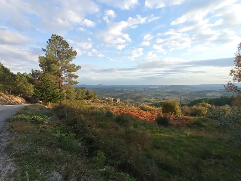 Quinta V4 Gonçalo Guarda - electricidade, varandas, árvores de fruto, luz, oliveiras, água, bons acessos