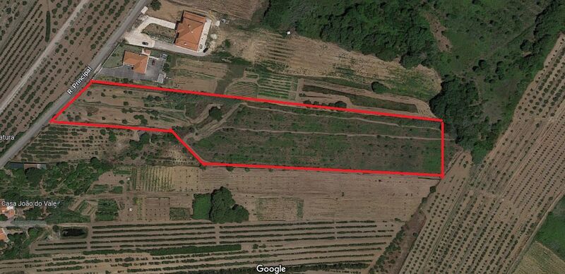 Terreno Agrícola com 12560m2 Delgada Roliça Bombarral - água