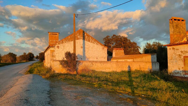 House 4 bedrooms Rustic to recover Arredores Cabrela Montemor-o-Novo - backyard