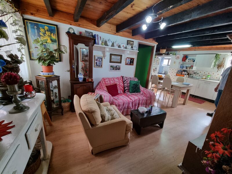 Quinta V3 Vila Cortês da Serra Gouveia - oliveiras, furo, equipada, garagem, água, piscina, árvores de fruto, jardim