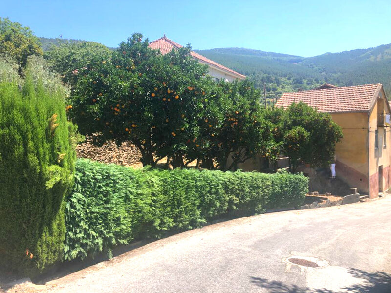 Casa V3 Típica por recuperar Sazes da Beira Seia - garagem, sótão, varandas, jardim, terraço