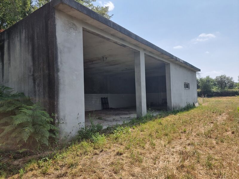 Quinta Póvoa de Midões Tábua para vender - sobreiros, arrecadação, luz, água, árvores de fruto, viabilidade de construção, poço, tanque