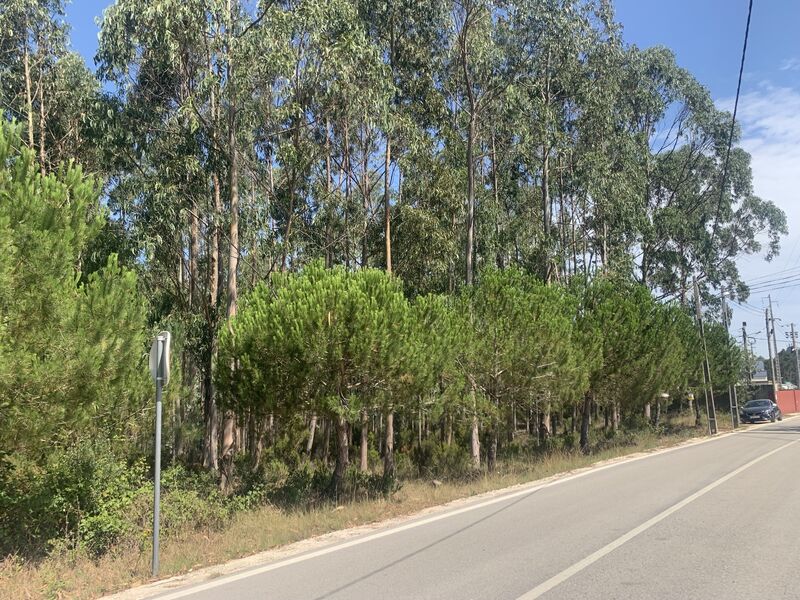 Land with 7239sqm Barosa Leiria