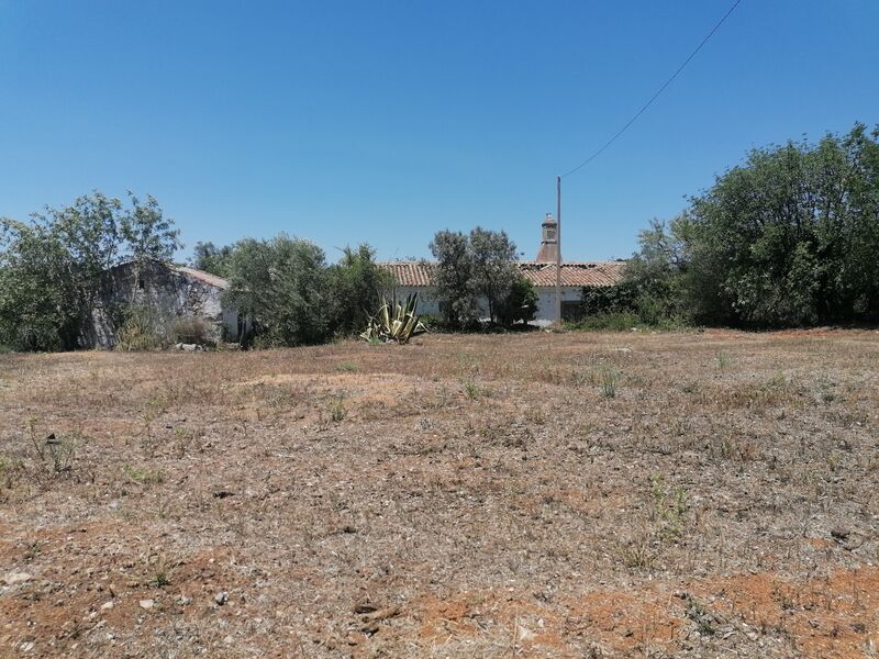 Home Typical well located V4 São Brás de Alportel