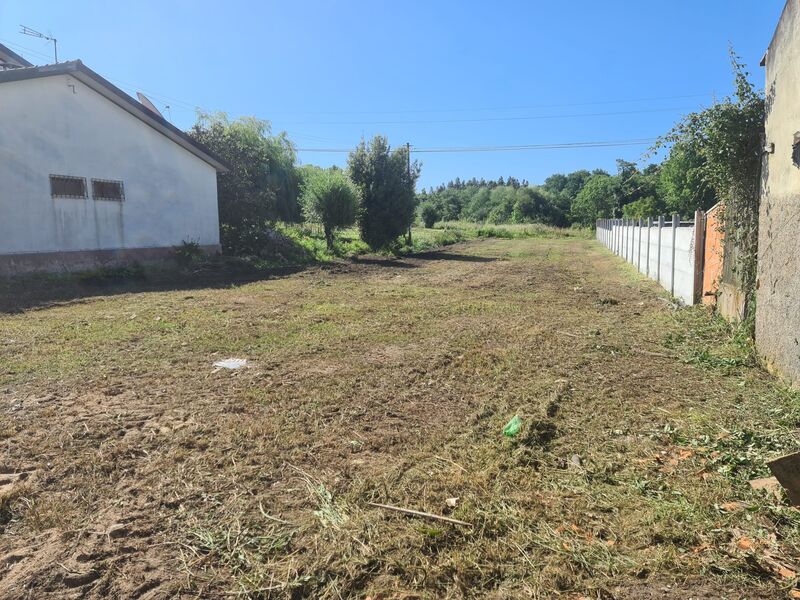 Terreno para construção Anadia - água, furo, luz