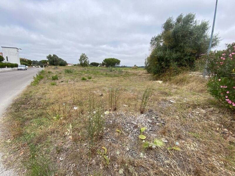 Land with 12960sqm Óbidos - electricity