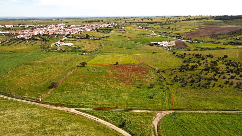 земля загородный равнинный Campo Reguengos de Monsaraz - колодец, электричество, вода