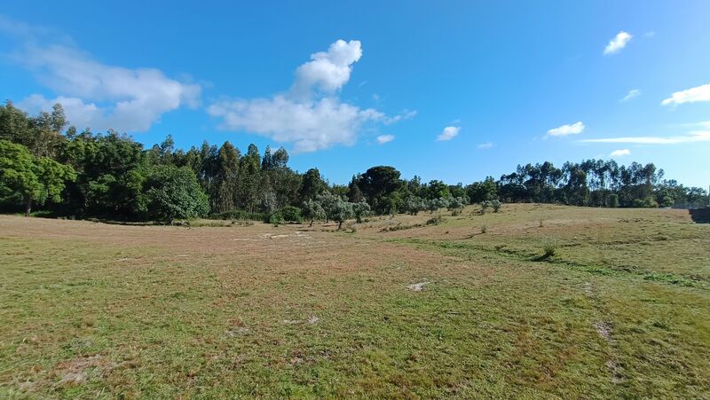 Land Rustic with 19498sqm Canha Montijo - olive trees, cork oaks, water, well