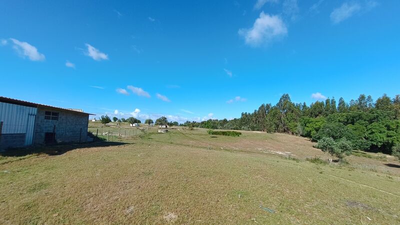 Terreno Rústico com 9959m2 Canha Montijo - árvores de fruto, poço, água