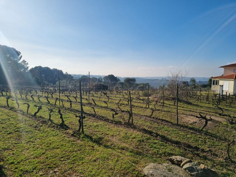 Terreno com 84305m2 Vila Nova de Tazem Gouveia - água, poço, árvores de fruto