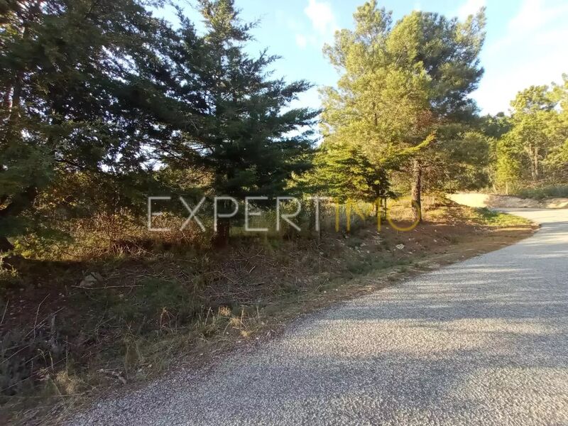 усадьба V4 Gonçalo Guarda - вода, оливковые деревья, электричество, отличный подъезд, фруктовые деревья