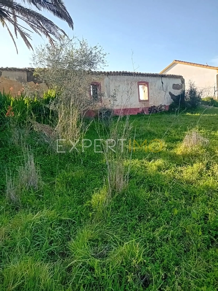 Farm 3 bedrooms São Bartolomeu de Messines Silves - well, water