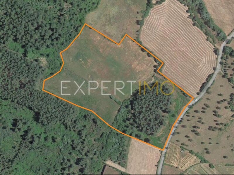 Farm V0 Famalicão Guarda