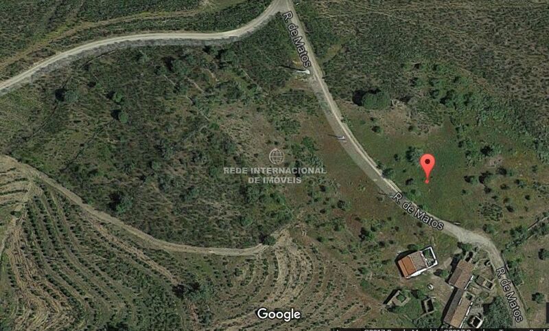 Land Rustic with 1960sqm Monte Pereirão Alcoutim - electricity, easy access