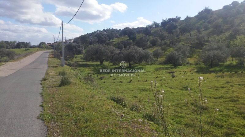 Land Rustic with 3920sqm Alcoutim - electricity, easy access, water hole, fruit trees