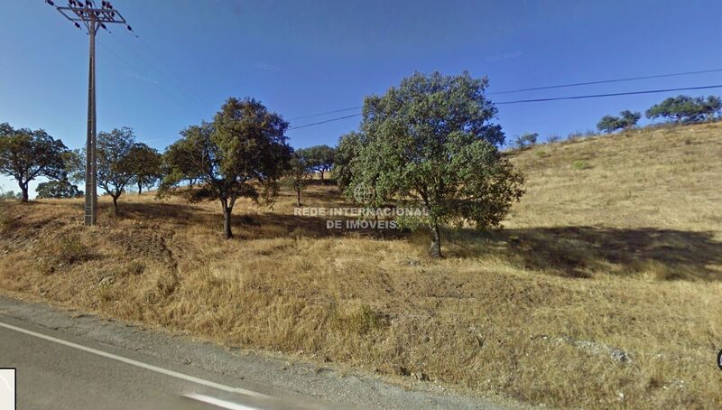 Terreno Rústico com 6480m2 Quebradas Odeleite Castro Marim - árvores de fruto