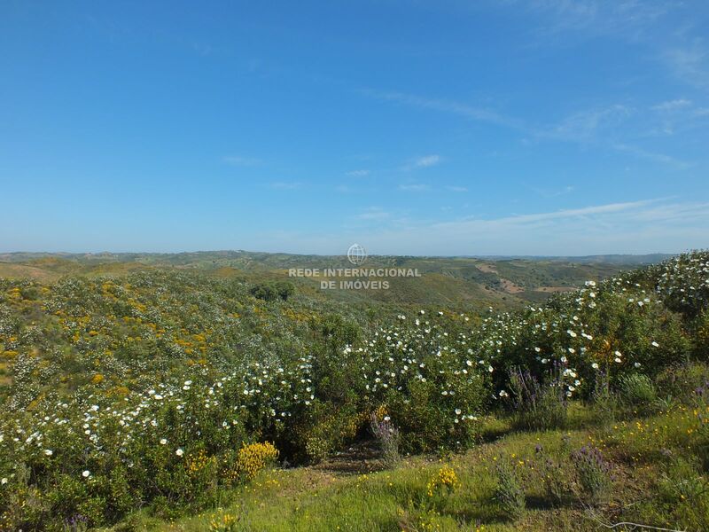 Terreno Rústico com 13920m2 Vila Nova de Cacela Vila Real de Santo António