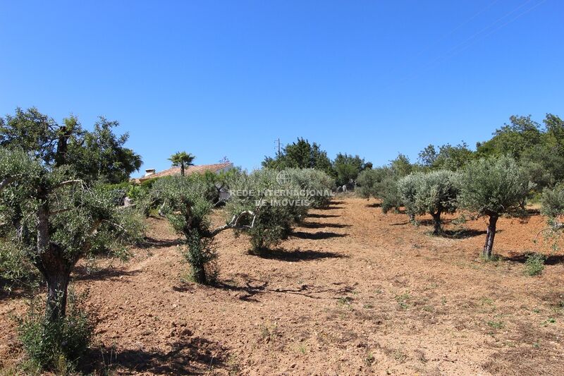 Land Rustic with 4770sqm Almargens São Brás de Alportel - water