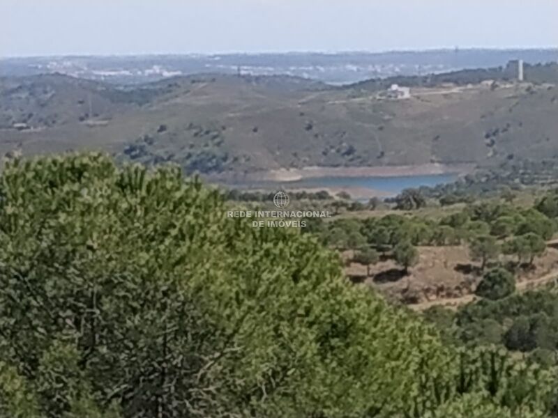 Terreno Rústico com 23840m2 Corte do Gago Azinhal Castro Marim - bom acesso