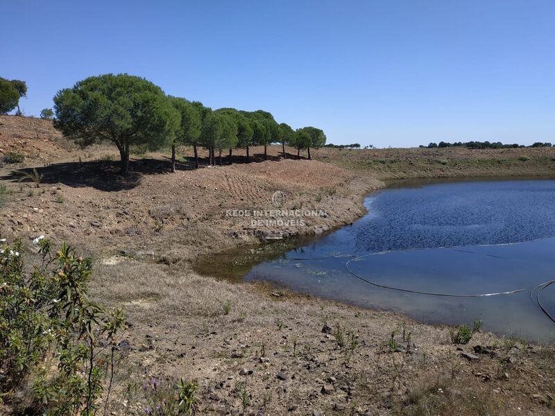 Land new with 69075sqm Corte do Gago Azinhal Castro Marim - water, good access, fruit trees, electricity, solar panel