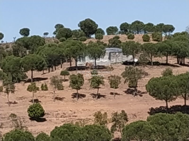 Terreno novo com 57810m2 Corte do Gago Azinhal Castro Marim - electricidade, água, bom acesso