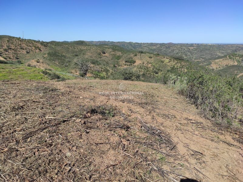 Land Rustic with 5920sqm Cortelha Azinhal Castro Marim - great location, easy access