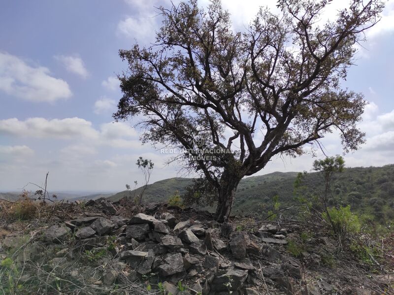 земля новые c 15560m2 Cortelha Azinhal Castro Marim - вода, отличный подъезд