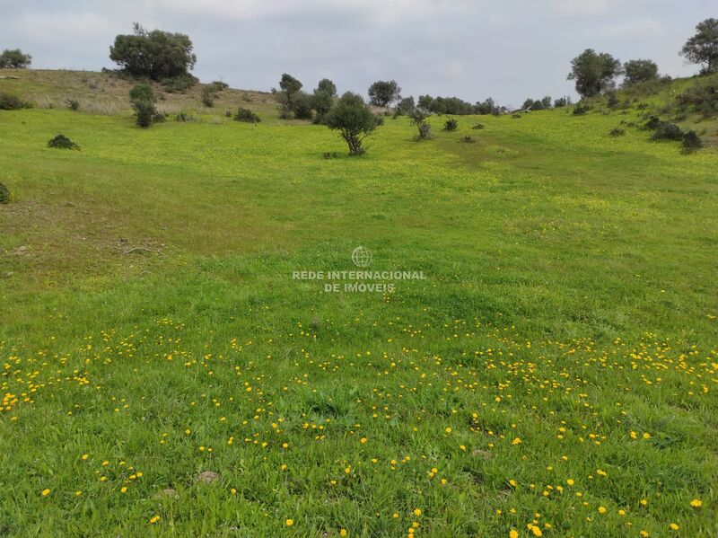 Land Rustic with 16320sqm Beliche Castro Marim - easy access, electricity