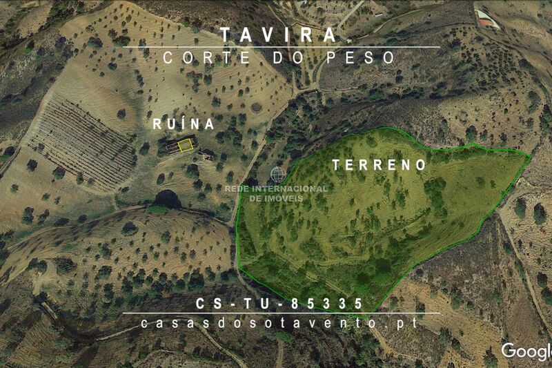 земля агрикультурный c 16200m2 Corte do Peso Santa Catarina da Fonte do Bispo Tavira - фруктовые деревья, электричество, вода, колодец, вид на горы, sobreiros