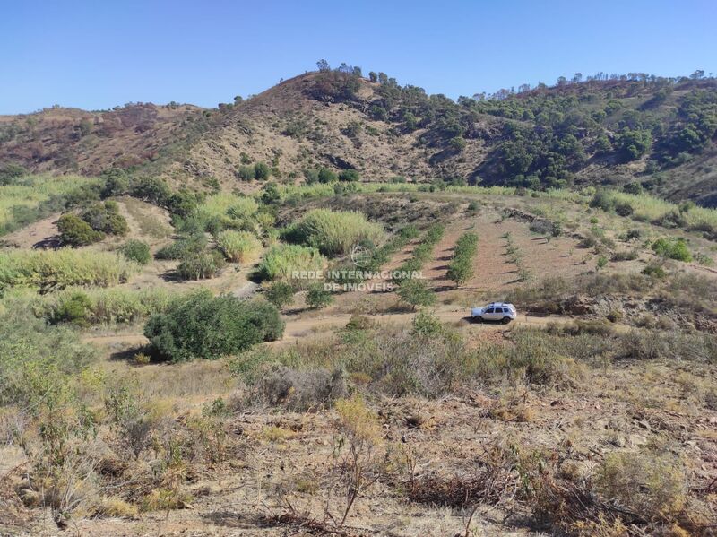 Terreno novo com 5550m2 Tavira - água