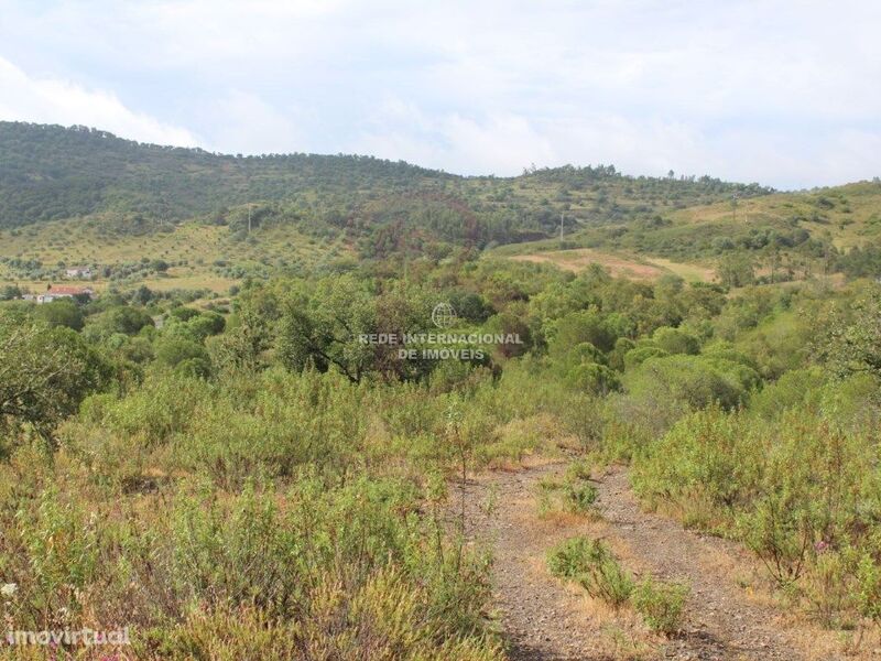 Quinta/Herdade com moradia São Bartolomeu de Messines Silves para vender