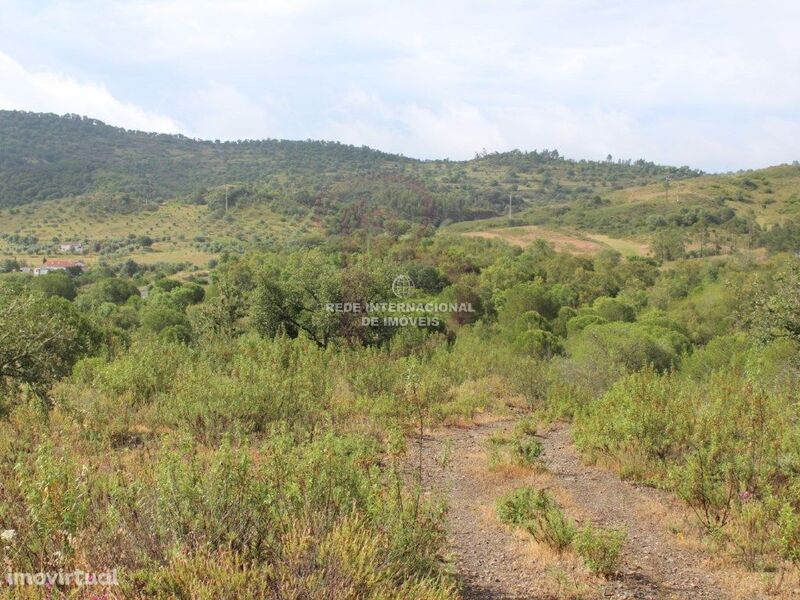 Chácara/Sítio/Fazenda com moradia São Bartolomeu de Messines Silves