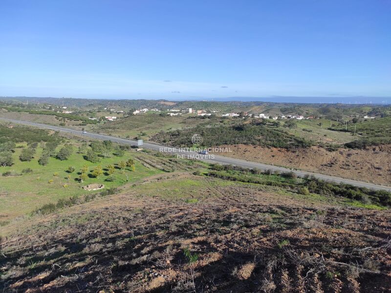 Terreno Rústico com 29760m2 Junqueira Castro Marim para vender - água, poço, oliveiras, laranjeiras, bons acessos